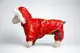 Костюм с капюшоном 601010 Zoobaza - красный, 25х40