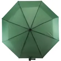 Парасолька Semi Line Green (L2036-6)
