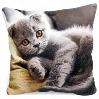 Подушка мягкая с принтом "Котик", 30 см.