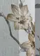 Тюль (3х2,7м.) батист, коллекция "Flora". Цвет белый с коричневым. Код 1905т 40-246