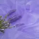 Ткань органза хамелеон полоски т/сирень