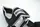 Тяга для шиї Power System PS-4039 Head Harness Black/Blue