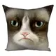 Подушка с принтом габардиновая Grumpy cat 50x50 см 5P_ANI014