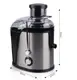 Соковыжималка электрическая RAF R.2805 500W