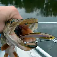 Позивник рибальський Sams Fish SF-23979 15 см