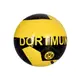 Мяч футбольный EV 3335 размер 5, ПВХ, 300-320г Dortmund