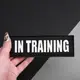 Набор шевронов 4 шт с липучкой In Training для служебных собак, кинологов, кинологическая служба нашивка патч
