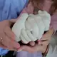 Набор для создания 3D слепка рук Семейный (IMP_POR_3)