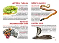 Книга "Велика книга. Отруйні змії" (укр)
