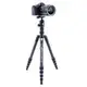 Штатив Vanguard Vesta TB 235CB (Vesta TB 235CB)