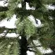 Елка искусственная 1.8 м Говерла зеленая