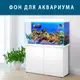 Морская фауна на наклейке в аквариум, в наличии и под заказ 40х65 см. (650х400)