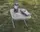 Стол кемпинговый Outwell Nain Low Table (531195)
