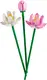 Конструктор LEGO Botanicals Цветы лотоса 220 деталей (40647)