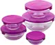 Набор пищевых контейнеров Frico FRU-432-Violet 10 предметов фиолетовый