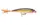Воблер Rapala X-Rap XR10 G