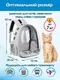 Прозрачный рюкзак для переноски животных Pet Cat для кошек и собак Grey УЦЕНКА