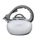 Чайник со свистком Kamille KM-0687A 2.8 л фиолетовый