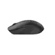 Мышь компьютерная безпроводная A4Tech Fstyler FB10C Stone Black черная
