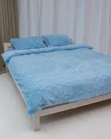 Постільна білизна плюшева євро Dushka Home 20717 200х220 см блакитна