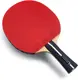 Ракетка для настольного тенниса Butterfly Ovtcharov Prime C (Carbon) FL (1215-4016-01)