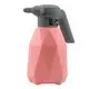 Опрыскиватель аккумуляторный 2л Li-ion FLORA (5002554)