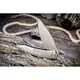 Чем составная синальная волна Weknife We23069b-2