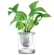Кашпо OLens Good morning DL21022594 10х11.5 см