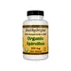 Натуральная добавка Healthy Origins Spirulina Organic 500 mg, 360 таблеток
