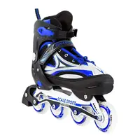 Розсувні ролики Scale Sports. Black-Blue (розмір 41-44)