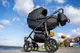 Детская коляска 2 в 1 Angelina Discovery Evolution черная DE-24