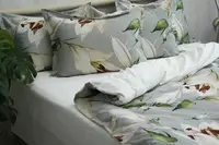 Комплект постільної білизни з компаньйоном (1,5-сп.) PT-015