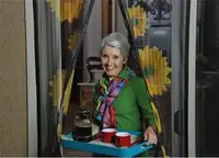 Москітна сітка з соняшниками