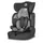 Автокресло детское Lionelo Levi One 9-36 кг Black