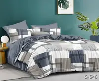 Комплект постельного белья с компаньоном S540 TAG satin (1,5-sp)-549