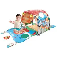 Детский развивающий коврик 4 в 1, туннель. Multicolor (124255)