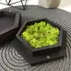Шкатулка для колец шестиугольная с наполнением