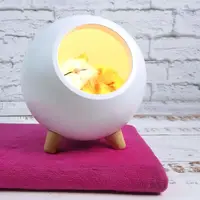 LED Ночник Спящий кот в домике (белый)