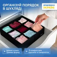 Органайзер ORGANIZE  на 9 ячеек 30х30х10 см ORGANIZE (черный)