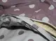 Комплект постельного белья с компаньоном S345 TAG satin (evro)-345 ucenka