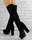Женские сапоги на каблуке Fashion Anita 1272 36 размер 23,5 см Черный