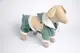 Костюм 305815 Zoobaza - 25 х 40, мятный
