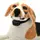 Ошейник для дресировки собак Remote Dog Training (0748)