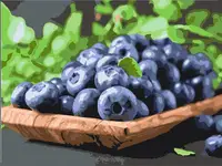 Картина по номерам Art Craft "Сочная Элизабет" 40*50 см 12006-AC