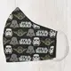 Маска защитная для лица Star wars 22x11 см SMM_20S031