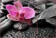 Фотообои текстурированные, виниловые Цветы, 250х380 см, fo01inV_fl102560