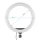 Кольцевая LED лампа диаметром 32 см LC-330 с пультом (14332)
