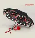 Зонт Umbrella RT-U3 Automatic Autumn Red Remax 123602
