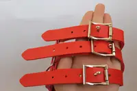 ОШЕЙНИК L 450 мм цвет красный