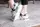 Кроссовки женские Fashion Hammy 2946 41 размер 25,5 см Белый